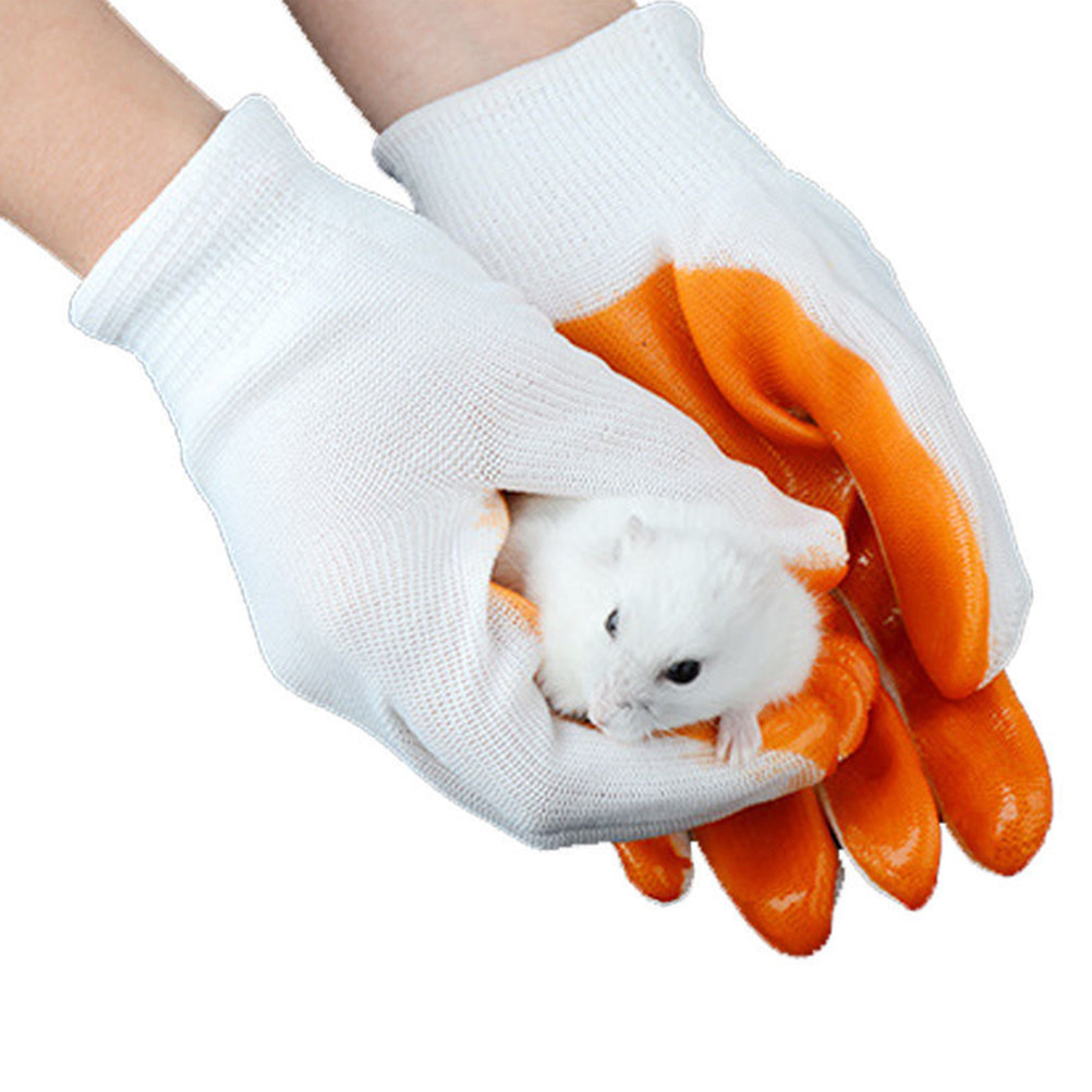 1組の動物保護用手袋、噛みつき防止、厚いゴム製、通気性あり、 - Cut Resistant Glove のレビューと価格