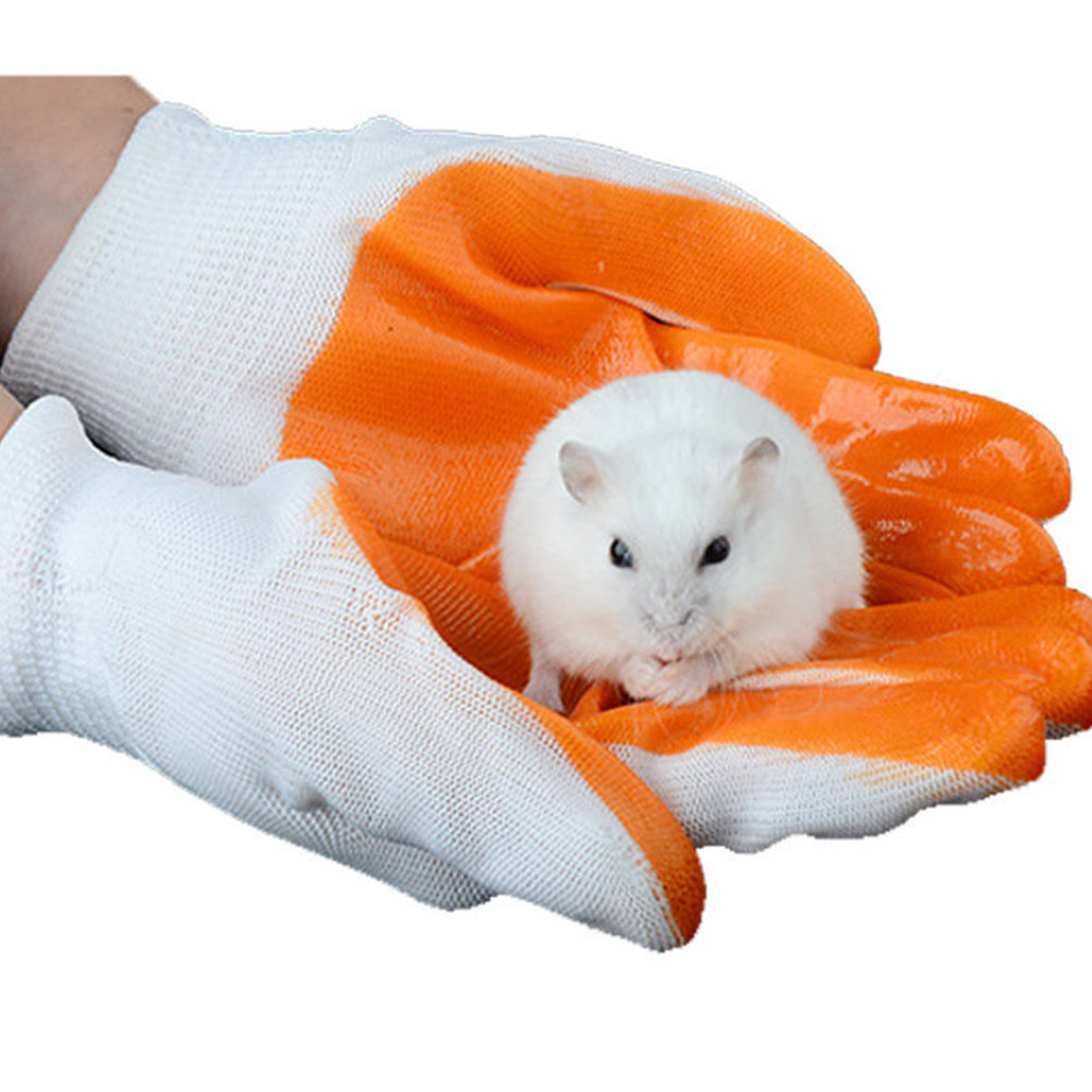 1組の動物保護用手袋、噛みつき防止、厚いゴム製、通気性あり、 - Cut Resistant Glove のレビューと価格